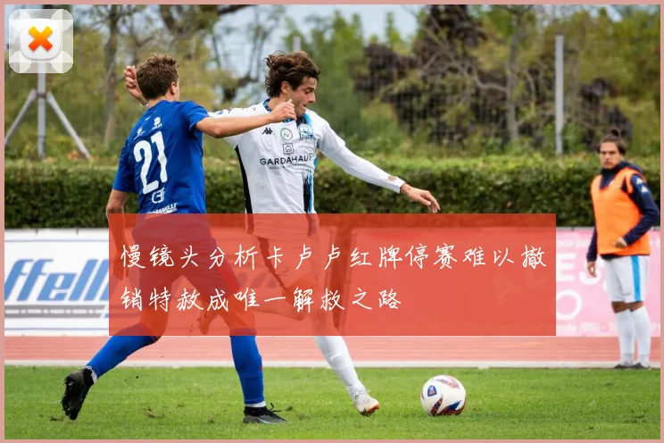 慢镜头分析卡卢卢红牌停赛难以撤销特赦成唯一解救之路