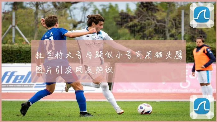 杜兰特大号与疑似小号同用猫头鹰图片引发网友热议
