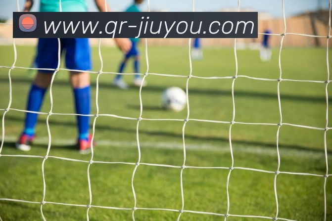 九游体育APP 封面图