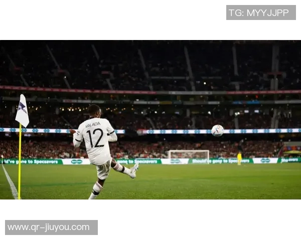 哈曼呼吁施洛特贝克冷静发言切勿让多特蒙德因言论分裂